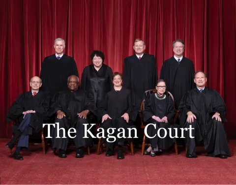 The Kagan Court