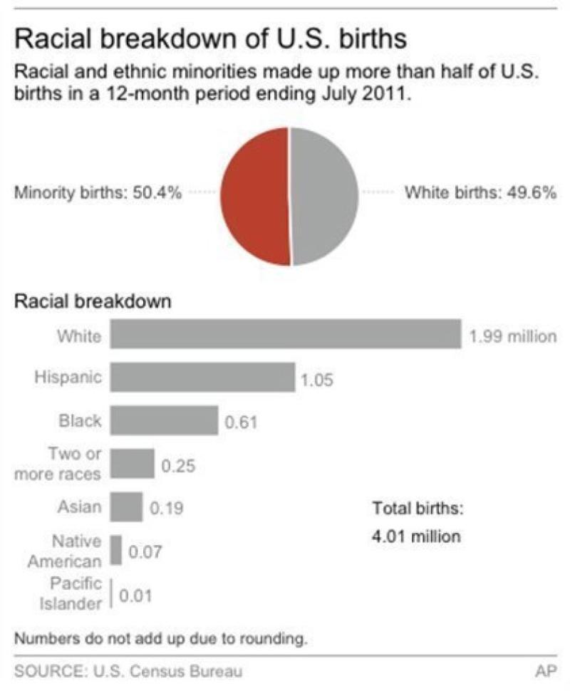 Racial breakdown of US Births